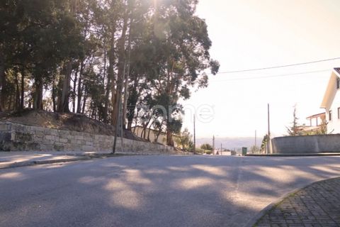 Terra a Nelas, Viseu, Nelas - € 33.000 | Ref: ZMPT548369 - foto 13