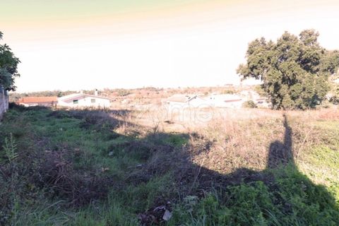 Terra a Nelas, Viseu, Nelas - € 33.000 | Ref: ZMPT548369 - foto 8