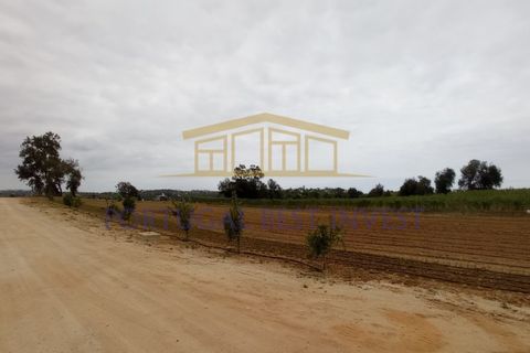 Helårsgrund i Guia, Faro, Guia - € 3.500.000 | Ref: PBI-1190 - foto 1