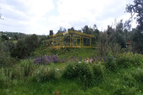 Helårsgrund i Guia, Faro, Guia - € 3.500.000 | Ref: PBI-1190 - foto 3