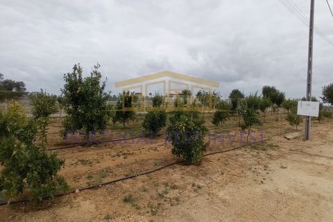 Helårsgrund i Guia, Faro, Guia - € 3.500.000 | Ref: PBI-1190 - foto 4