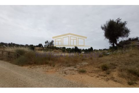 Helårsgrund i Guia, Faro, Guia - € 3.500.000 | Ref: PBI-1190 - foto 5
