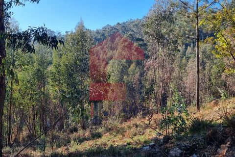 Helårsgrund i Vila Verde, Braga, Vila Verde - € 21.500 | Ref: 07541 - foto 3