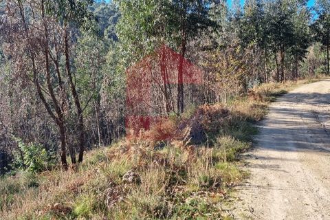 Helårsgrund i Vila Verde, Braga, Vila Verde - € 21.500 | Ref: 07541 - foto 5