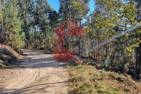Helårsgrund i Vila Verde, Braga, Vila Verde - € 21.500 | Ref: 07541 - foto 8