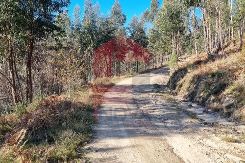 Helårsgrund i Vila Verde, Braga, Vila Verde - € 21.500 | Ref: 07541 - foto 9
