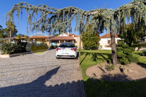 Villa i Ponte de Lima, Viana do Castelo, Ponte de Lima - € 910.000 | Ref: 3518/J - foto 3