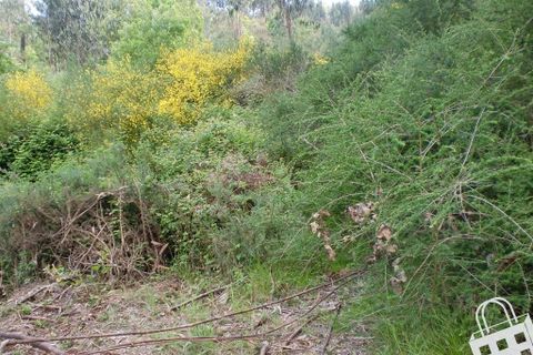 Helårsgrund i Lousada, Porto, Lousada - € 20.000 | Ref: 365/T/00034 - foto 2