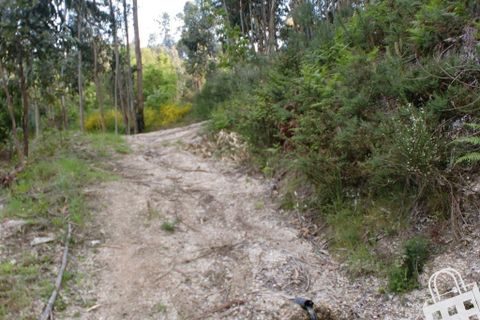 Helårsgrund i Lousada, Porto, Lousada - € 20.000 | Ref: 365/T/00034 - foto 3