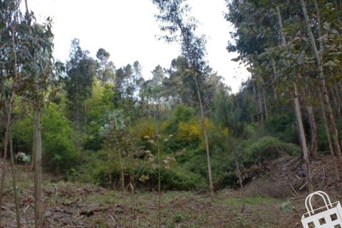 Helårsgrund i Lousada, Porto, Lousada - € 20.000 | Ref: 365/T/00034 - foto 6