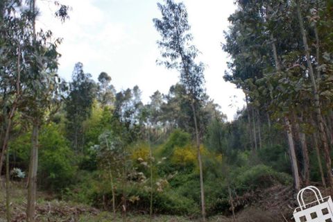 Helårsgrund i Lousada, Porto, Lousada - € 20.000 | Ref: 365/T/00034 - foto 7