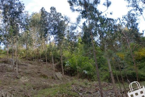 Helårsgrund i Lousada, Porto, Lousada - € 20.000 | Ref: 365/T/00034 - foto 8