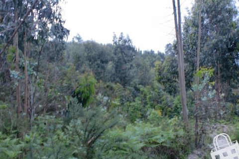 Helårsgrund i Lousada, Porto, Lousada - € 20.000 | Ref: 365/T/00034 - foto 14