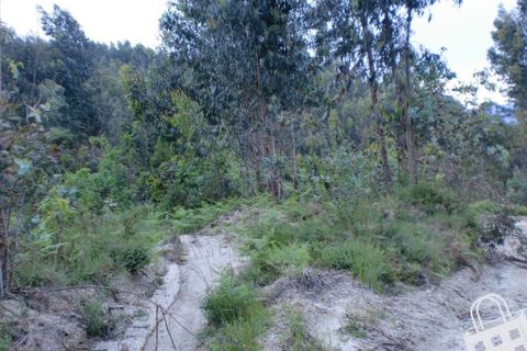Helårsgrund i Lousada, Porto, Lousada - € 20.000 | Ref: 365/T/00034 - foto 15