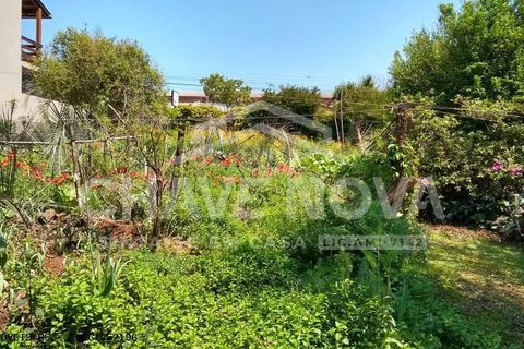 Helårsgrund i Baiao, Porto, Baiao - € 22.000 | Ref: OD/01329 - foto 1