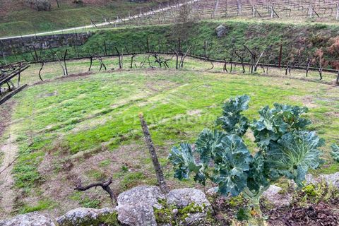 Helårsgrund i Baiao, Porto, Baiao - € 22.000 | Ref: OD/01329 - foto 2