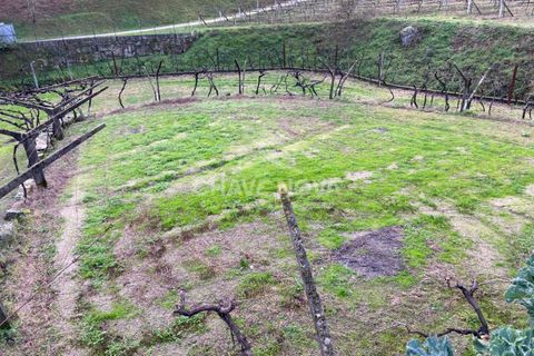 Helårsgrund i Baiao, Porto, Baiao - € 22.000 | Ref: OD/01329 - foto 3