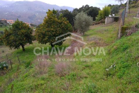 Helårsgrund i Baiao, Porto, Baiao - € 87.000 | Ref: OD/01385 - foto 1
