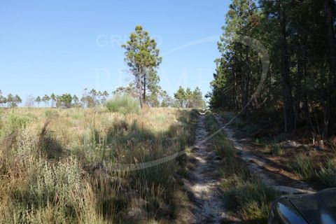 Helårsgrund i Alijo, Vila Real, Alijo - € 210.000 | Ref: 35358 - foto 2