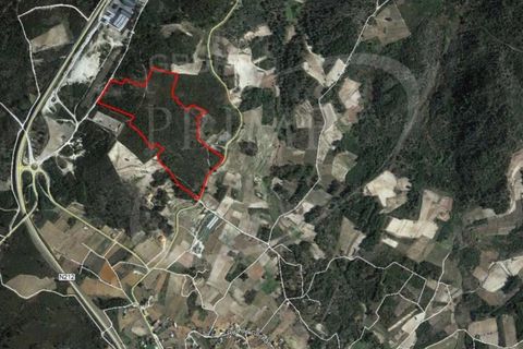 Helårsgrund i Alijo, Vila Real, Alijo - € 210.000 | Ref: 35358 - foto 6