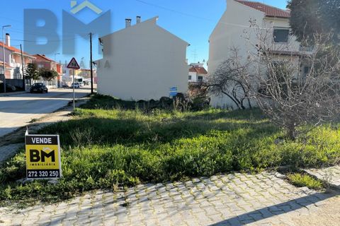 Helårsgrund i Castelo Branco, Castelo Branco, Castelo Branco - € 67.500 | Ref: 4224 - foto 9
