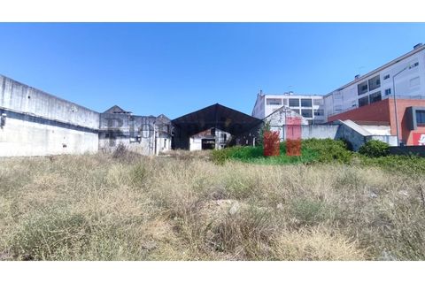 Terra a Alpiarca, Santarem, Alpiarca - € 204.120 | Ref: 46.22 - foto 2