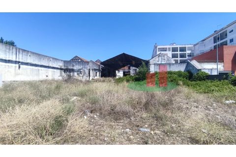 Terra a Alpiarca, Santarem, Alpiarca - € 204.120 | Ref: 46.22 - foto 6
