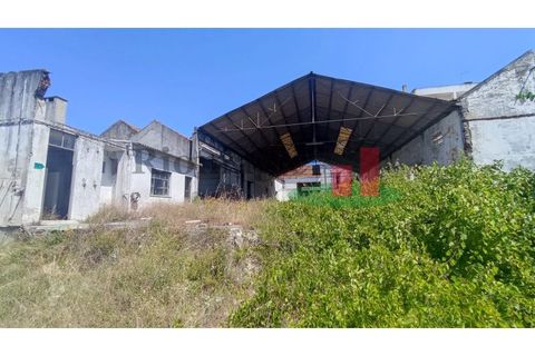 Terra a Alpiarca, Santarem, Alpiarca - € 204.120 | Ref: 46.22 - foto 3