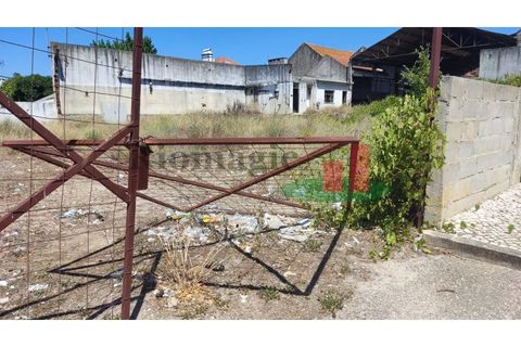 Terra a Alpiarca, Santarem, Alpiarca - € 204.120 | Ref: 46.22 - foto 8