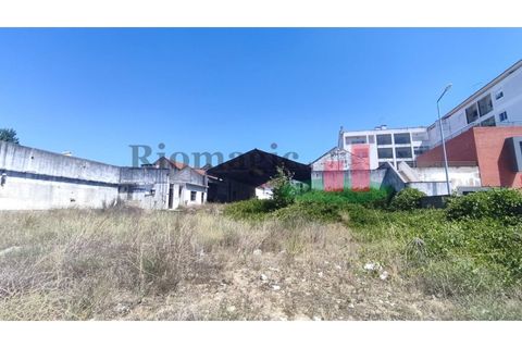Terra a Alpiarca, Santarem, Alpiarca - € 204.120 | Ref: 46.22 - foto 11