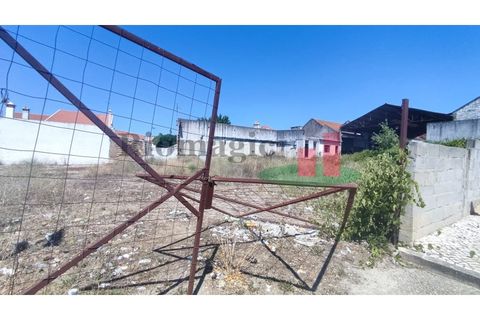 Terra a Alpiarca, Santarem, Alpiarca - € 204.120 | Ref: 46.22 - foto 10