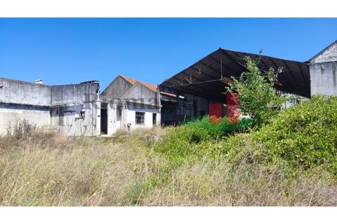Terra a Alpiarca, Santarem, Alpiarca - € 204.120 | Ref: 46.22 - foto 5