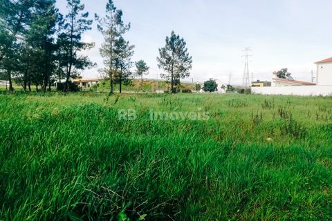 Helårsgrund i Entroncamento, Santarem, Entroncamento - € 70.000 | Ref: SÒL_2469 - foto 5
