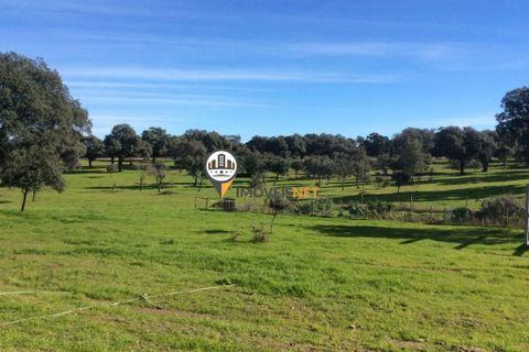 Helårsgrund i Castelo Branco, Castelo Branco, Castelo Branco - € 470.000 | Ref: 2357 - foto 14