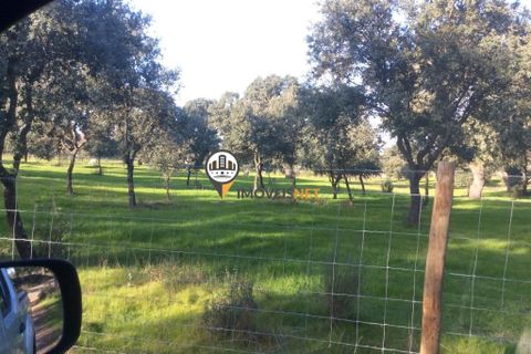Helårsgrund i Castelo Branco, Castelo Branco, Castelo Branco - € 470.000 | Ref: 2357 - foto 15