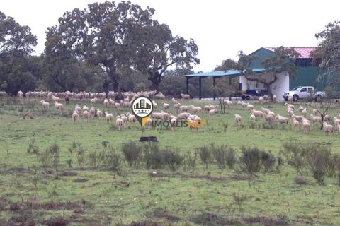 Helårsgrund i Castelo Branco, Castelo Branco, Castelo Branco - € 470.000 | Ref: 2357 - foto 18