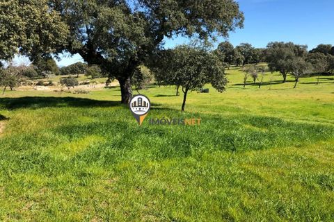 Helårsgrund i Castelo Branco, Castelo Branco, Castelo Branco - € 470.000 | Ref: 2357 - foto 23