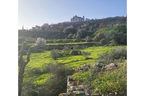 Granja a Evora, Evora, Evora - € 277.000 | Ref: JG1887 - foto 3