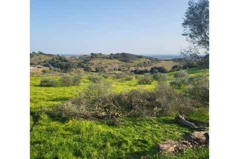 Granja a Evora, Evora, Evora - € 277.000 | Ref: JG1887 - foto 4
