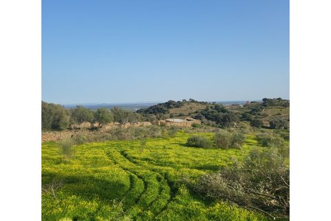 Granja a Evora, Evora, Evora - € 277.000 | Ref: JG1887 - foto 5