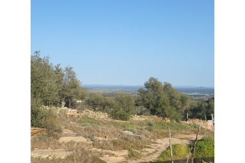 Granja a Evora, Evora, Evora - € 277.000 | Ref: JG1887 - foto 9