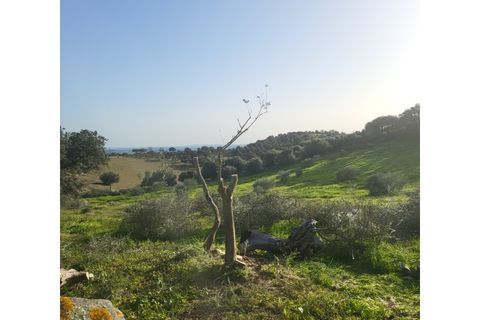 Granja a Evora, Evora, Evora - € 277.000 | Ref: JG1887 - foto 11