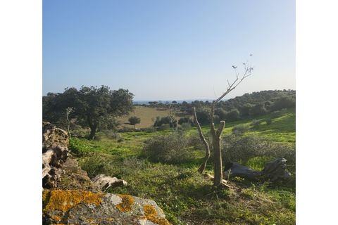 Granja a Evora, Evora, Evora - € 277.000 | Ref: JG1887 - foto 12