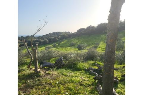 Granja a Evora, Evora, Evora - € 277.000 | Ref: JG1887 - foto 13