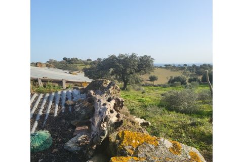 Granja a Evora, Evora, Evora - € 277.000 | Ref: JG1887 - foto 14