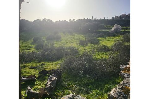 Granja a Evora, Evora, Evora - € 277.000 | Ref: JG1887 - foto 15