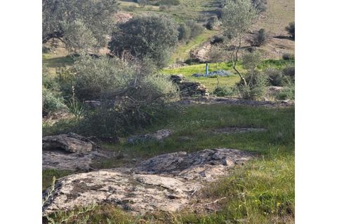 Granja a Evora, Evora, Evora - € 277.000 | Ref: JG1887 - foto 18