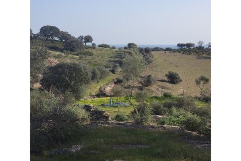 Granja a Evora, Evora, Evora - € 277.000 | Ref: JG1887 - foto 19
