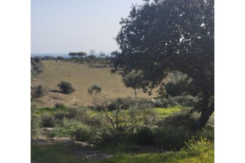 Granja a Evora, Evora, Evora - € 277.000 | Ref: JG1887 - foto 20