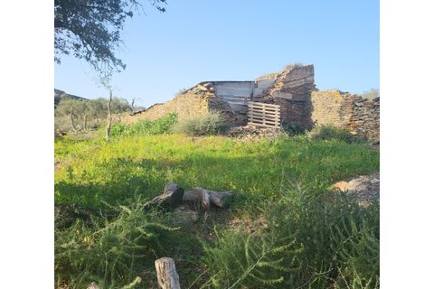 Granja a Evora, Evora, Evora - € 277.000 | Ref: JG1887 - foto 2
